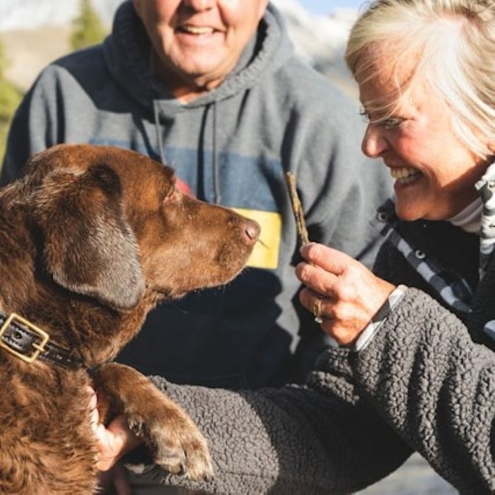 5-livsmedel-som-r-skadliga-fr-din-hund